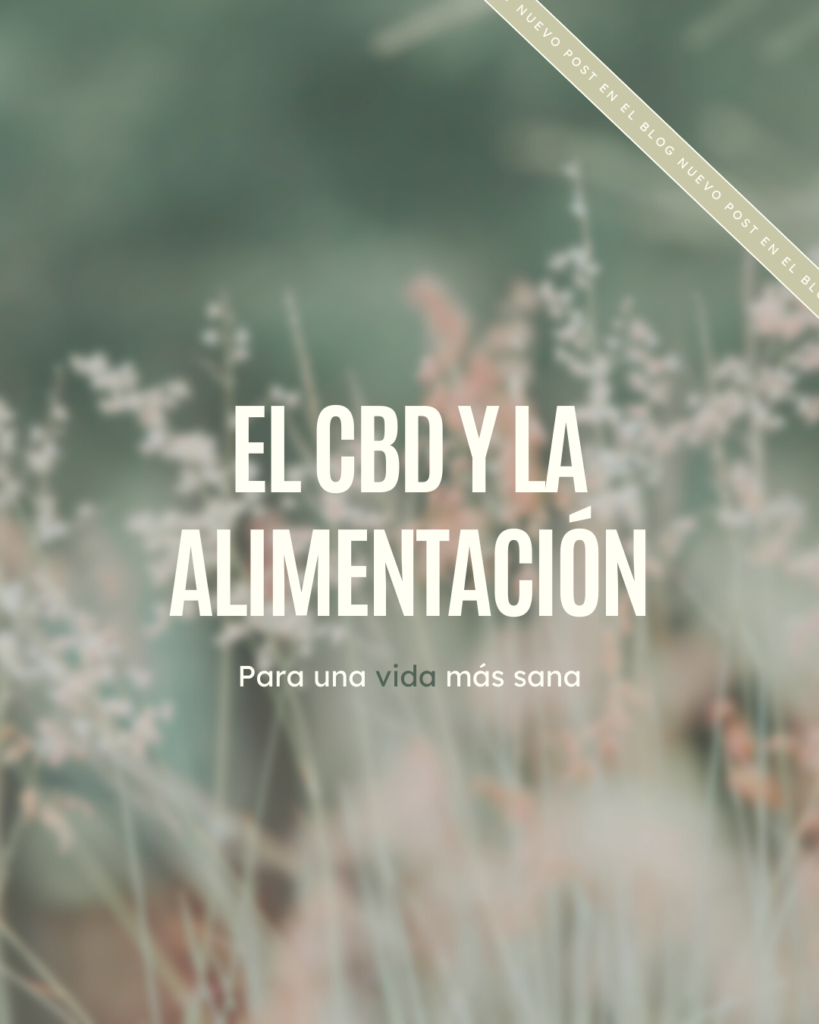 Mejora tu vida con el aceite CBD y alimentación
