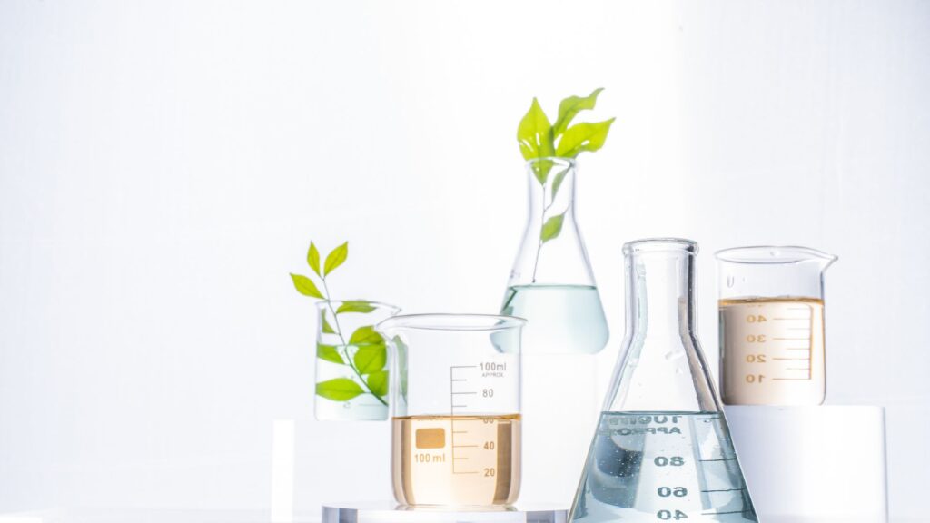 Día Mundial de la Ciencia y aceite CBD