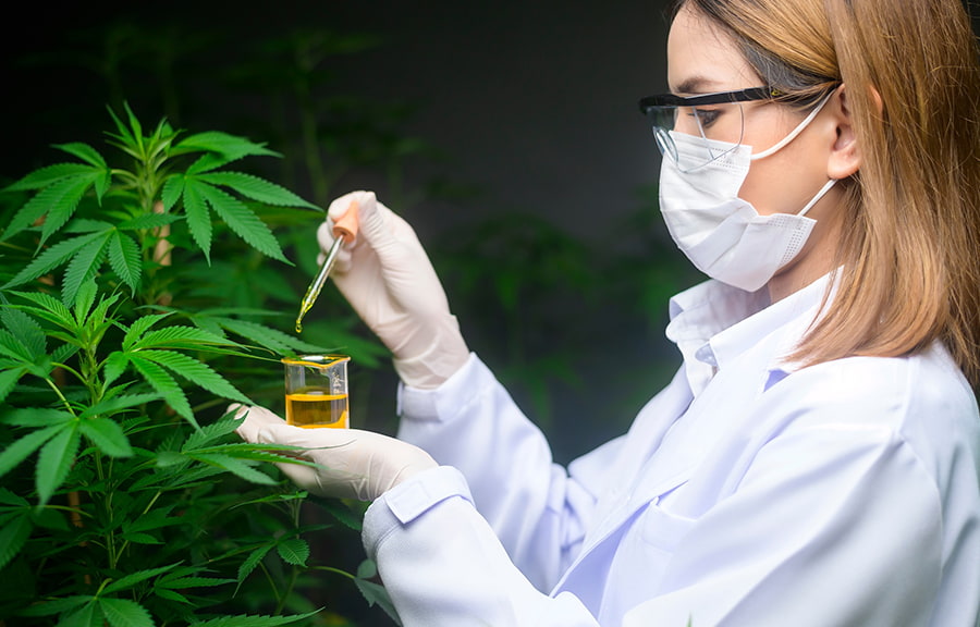 Qué es un laboratorio CBD